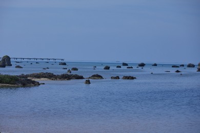 佐和田の浜イメージ