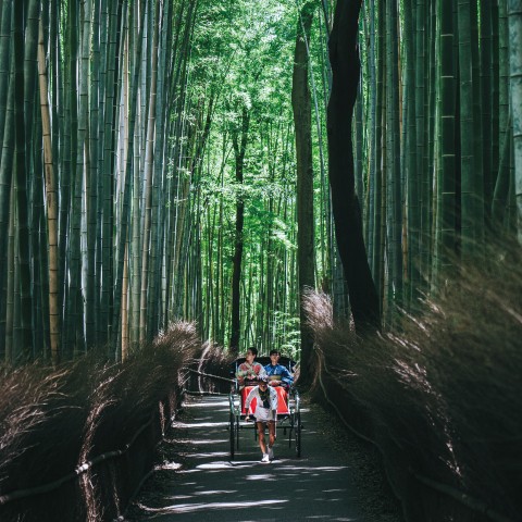 嵐山の四季を感じる、人力車で巡遊プラン