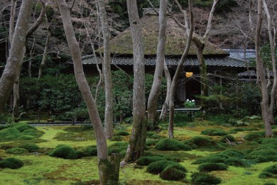 祇王寺