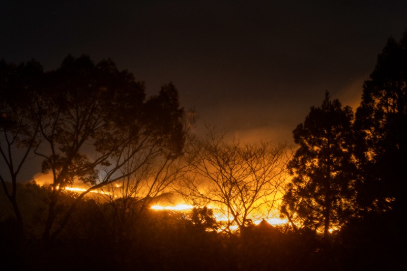 2026年1月24日（土） 特別な一夜を演出する「若草山焼き特別鑑賞ディナープラン」
