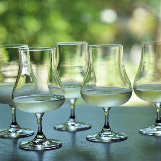 春を彩る奈良のお酒